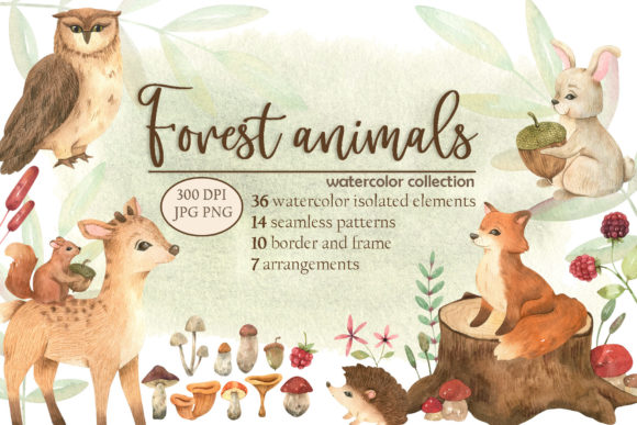 Forest Animals Watercolor Collection: A Versatile Creative Resource
