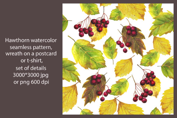 Hawthorn Watercolor Autumn Pattern