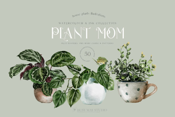 House Plants Illustrations and Patterns: A Green Haven for Creative Expression