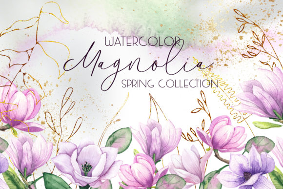Magnolia Watercolor Collection: A Blend of Elegance and Creativity
