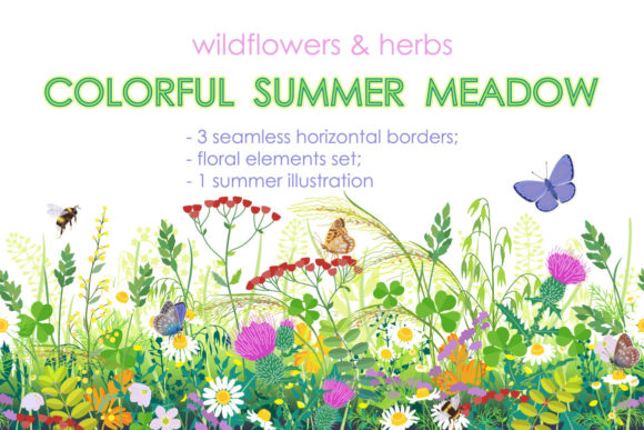 Summer Meadow Plants and Insects: A Natural Design Inspiration